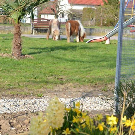 Hotel - Restaurant Hirschen - Werneths Landgasthof Beim Europa- Park Rust Rheinhausen Esterno foto