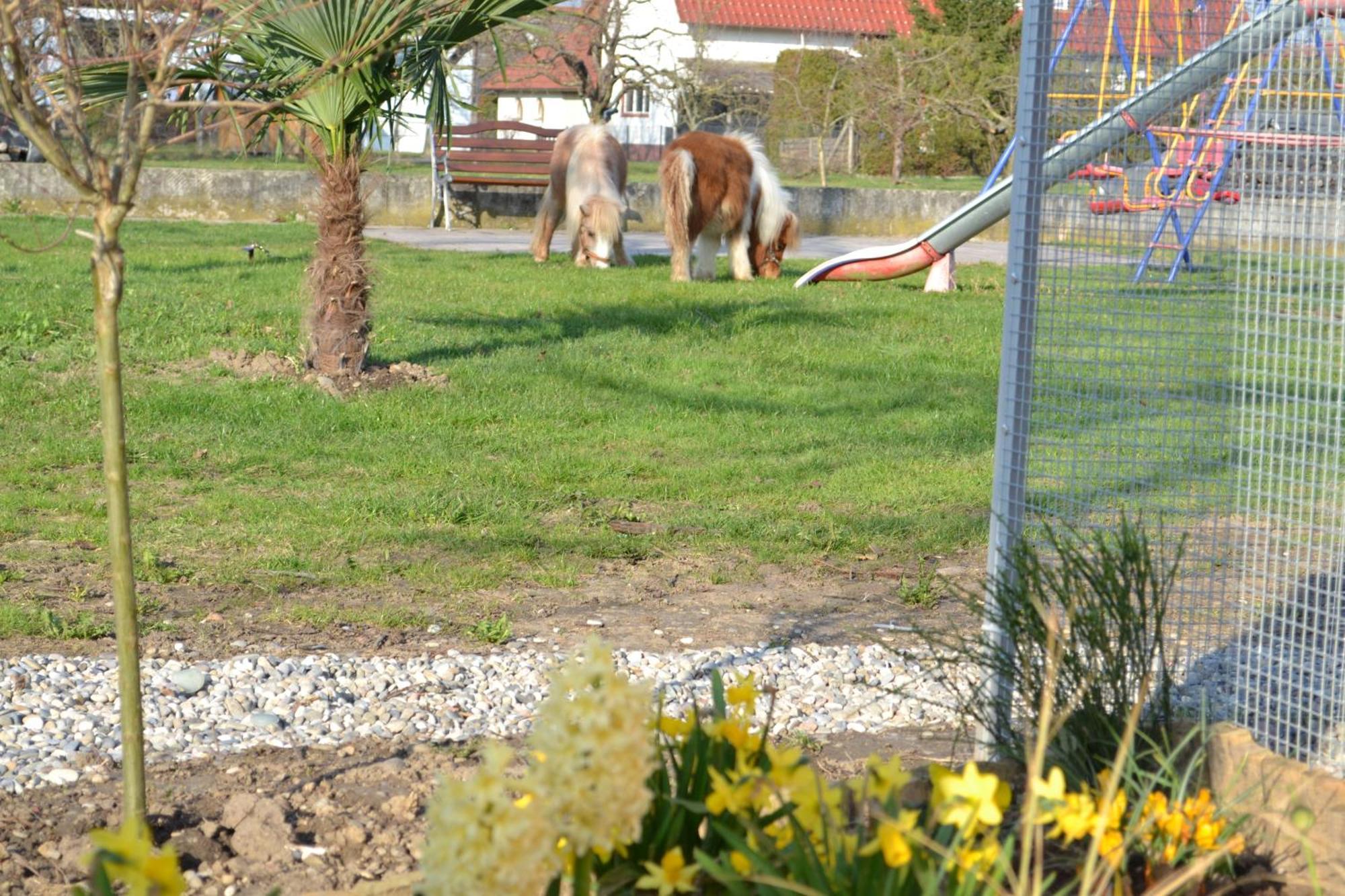 Hotel - Restaurant Hirschen - Werneths Landgasthof Beim Europa- Park Rust Rheinhausen Esterno foto